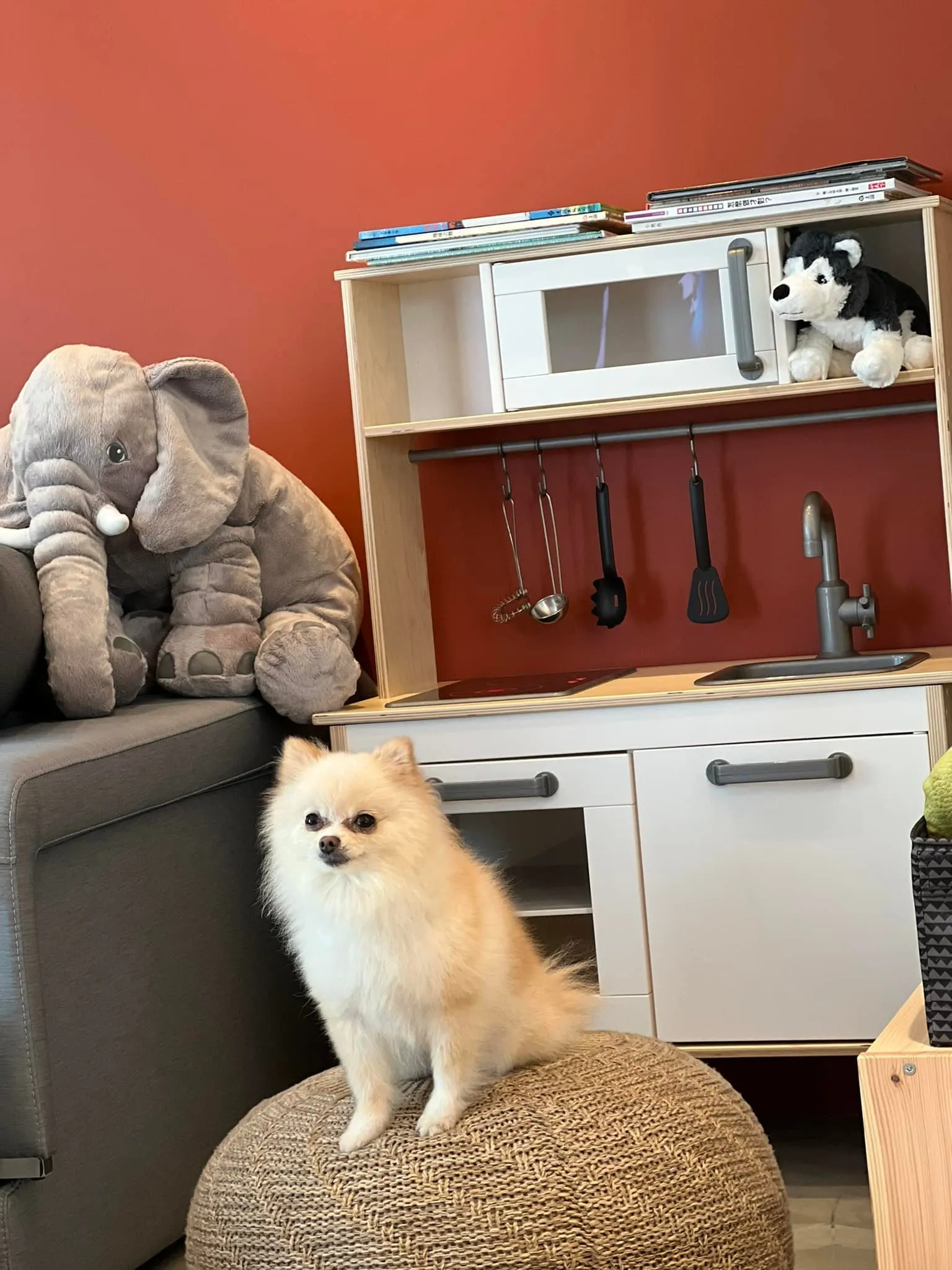 泥House_寵物友善